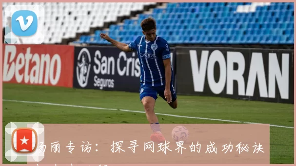 杨丽专访：探寻网球界的成功秘诀与奋斗历程