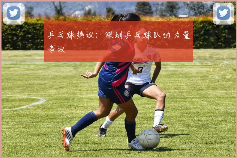 乒乓球热议：深圳乒乓球队的力量争议