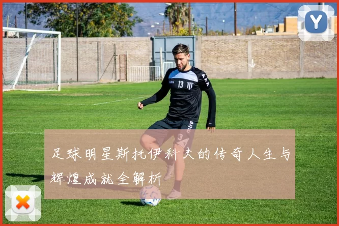 足球明星斯托伊科夫的传奇人生与辉煌成就全解析