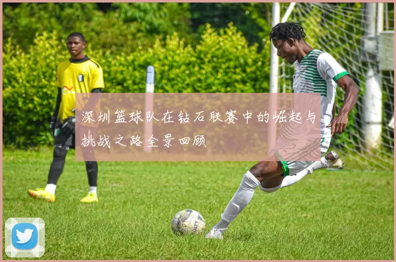 深圳篮球队在钻石联赛中的崛起与挑战之路全景回顾